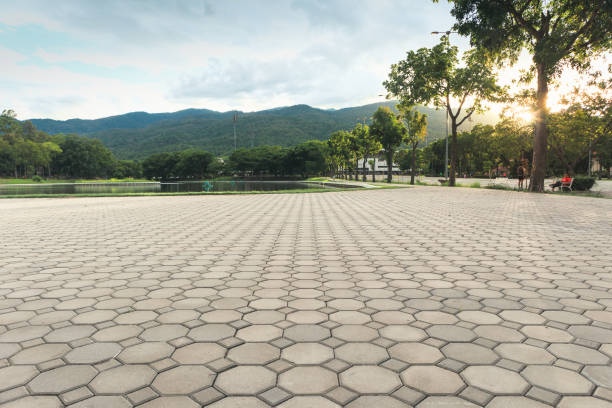 Best Residential Driveway Paver Services  in Pepeekeo, HI