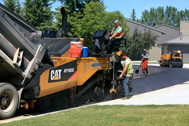Best Residential Driveway Paver Services  in Pepeekeo, HI